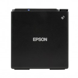 Epson TM-m30 (122)