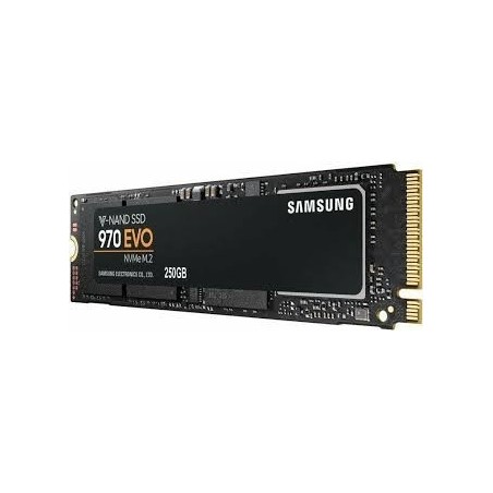 Samsung SSD 970 EVO M.2 PCIe NVMe 500 Go