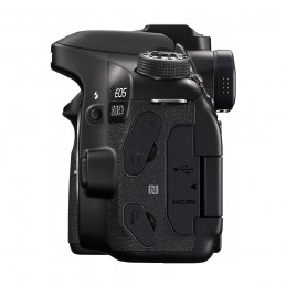 Canon EOS 80D + Tamron 18-400mm f/3.5-6.3 Di II VC HLD