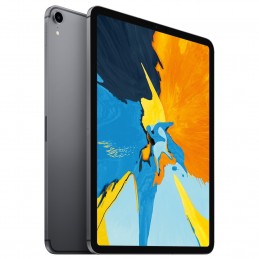 Apple iPad Pro 11 pouces 1 To Wi-Fi + Cellular Gris Sidéral