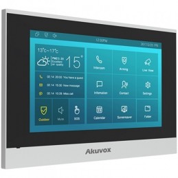 Akuvox C313W