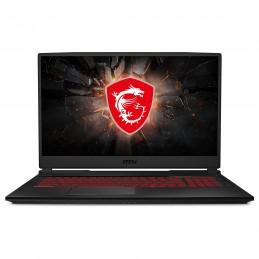 MSI GL75 9SD-219FR