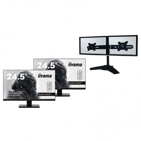 iiyama 24,5" LED - G-MASTER G2530HSU-B1 (x2) + LDLC Support 2