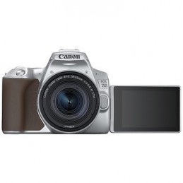 Canon EOS 250D Argent + 18-55 IS STM Argent