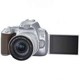Canon EOS 250D Argent + 18-55 IS STM Argent