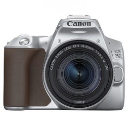 Canon EOS 250D Argent + 18-55 IS STM Argent,abidjan