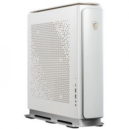 MSI Creator P100X 10SE-248FR,abidjan