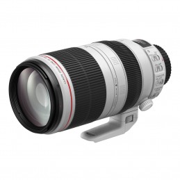 Canon EF 100-400mm f/4.5-5.6L IS II USM