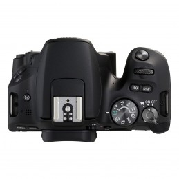 Canon EOS 200D + Tamron AF 18-270mm f/3.5-6.3 Di II VC PZD