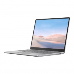Microsoft Surface Laptop Go 12.4" - Gris Platine (TNV-00007)