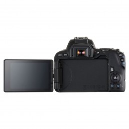 Canon EOS 200D + SIGMA 18-250mm f/3.5-6.3 DC Macro OS HSM