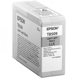Epson T850900