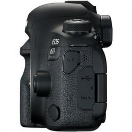 Canon EOS 6D Mark II + Tamron SP 24-70 mm f/2.8 Di VC USD G2