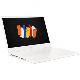 Acer ConceptD 3 CN315-72G-742A,abidjan