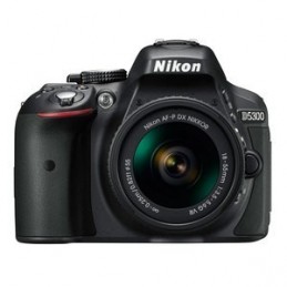 Nikon D5300 + AF-P 18-55MM F/3.5-5.6G VR