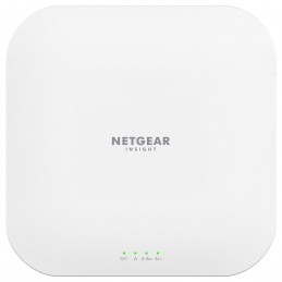 Point d'accès Netgear WAX620 (WAX620-100EUS)