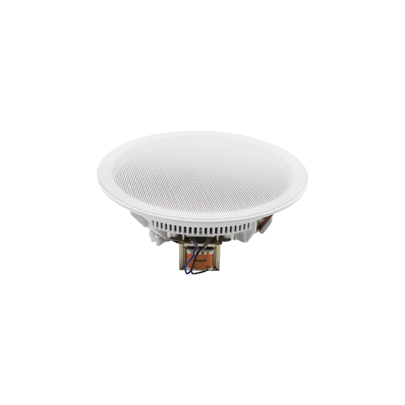 Haut-parleur rond encastrable au plafond et au mur DSP8011