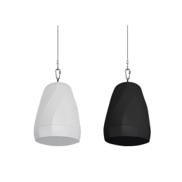 Haut-parleur suspendu DSP5053 30 W