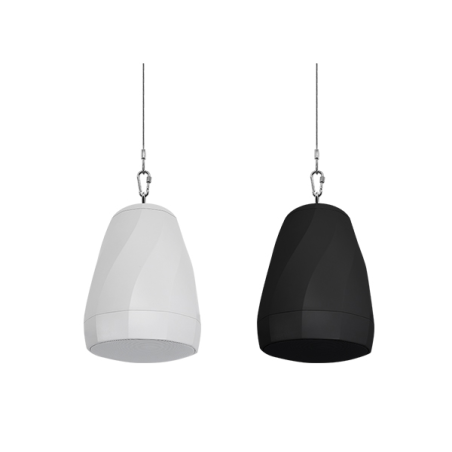 Haut-parleur suspendu DSP5053 30 W