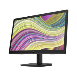 Moniteur HP P22v G4 21,5"
