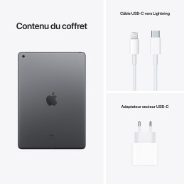 Apple iPad Air M2 11 pouces (2024) Wi-Fi 512 Go Gris Sidéral Apple iPad Air M2 11 pouces (2024) Wi-Fi 512 Go Gris Sidéral