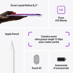 Apple iPad mini (2024) 256 Go Wi-Fi Lumière Stellaire