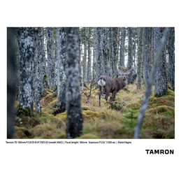 TAMRON Objectif 70-180mm f/2.8 DI III VXD G2 compatible avec