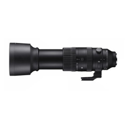 SIGMA Objectif 60-600mm f/4.5-6.3 DG DN OS SPORT compatible