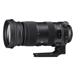 SIGMA Objectif 60-600mm f/4.5-6.3 DG OS HSM SPORT compatible