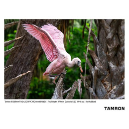 TAMRON Objectif 50-300mm f/4.5-6.3 Di III VXD compatible avec