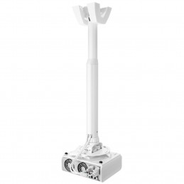 Vogel's PPC 1555