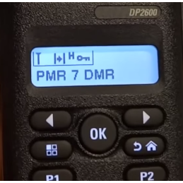 Talkie Walkie Motorola DP2600e VHF