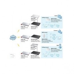 ZyXEL WAC6103D-I