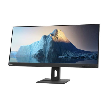 Ecran PC Lenovo Moniteur 29 Pouces LED FHD ThinkVision E29w-20