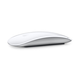 Magic Mouse 2021-Apple-MXK53Z/A