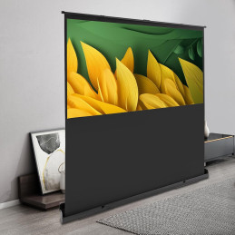 Ecran de projection Nobo160x120