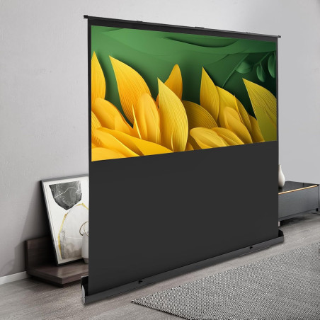 Ecran de projection Nobo160x120
