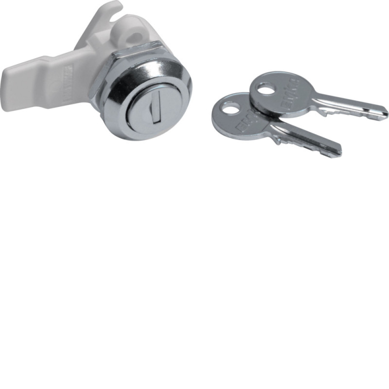 Serrure à clé livrée avec 2 clés pour condamner les trappes d'accès GTL quadro45 - Hager - FZ597