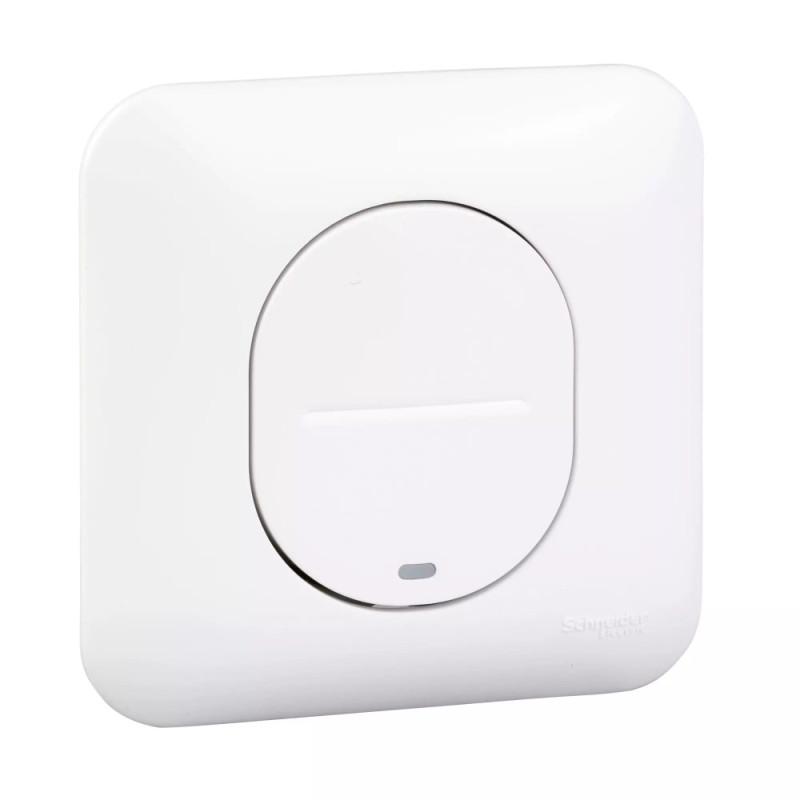 Interrupteur Bouton Poussoir Lumineux à fermeture - lumineux - avec griffes avec plaque Ovalis Schneider Electric - S265276
