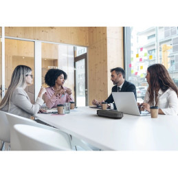 Philips Smart Meeting PSE0501