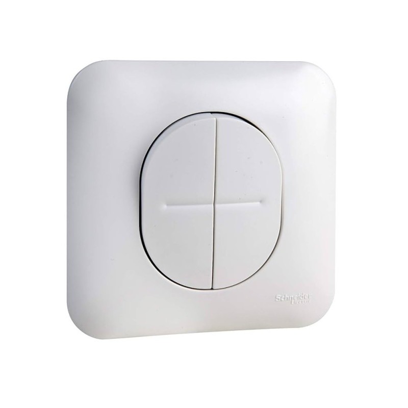 Double va et vient - 10AX - avec griffes avec plaque Ovalis Schneider Electric - S265214