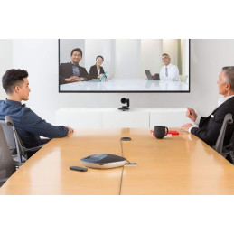 Logitech GROUP