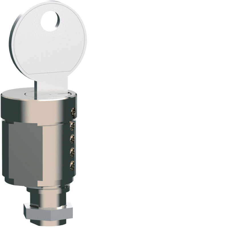 Serrure à clef Ronis (P160-P250-x630-P630) - Hager - HXS999H