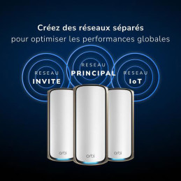 Netgear Orbi WiFi 7 Série 970 Satellite (RBE970)