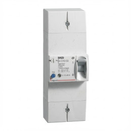 Disjoncteur de branchement 250V bipolaire différentiel 500mA sélectif - 45A Enedis Legrand - 401003