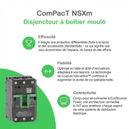 Disjoncteur - TM-D 40A - 4P4D - 36kA - borne EverLink - ComPacT NSXmF - SCHNEIDER ELECTRIC - C11F4TM040L