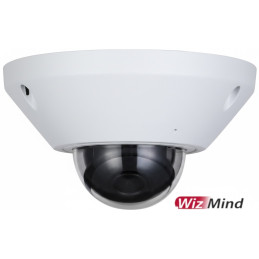 Dôme vidéosurveillance IP 5MP anti-vandale - Dahua - DH-IPC-EB5541P-AS