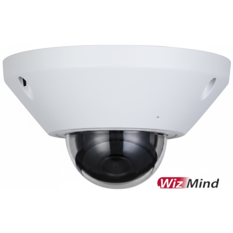 Dôme vidéosurveillance IP 5MP anti-vandale - Dahua - DH-IPC-EB5541P-AS