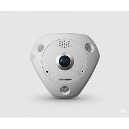 Caméra IP Hikvision Fisheye 12 MP - DS-2CD63C5G1-IVS