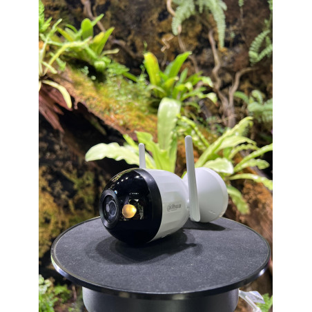 Caméra réseau bullet Wi-Fi de 2 mégapixels Dahua DH-IPC-F2CP-LED-0360B ...